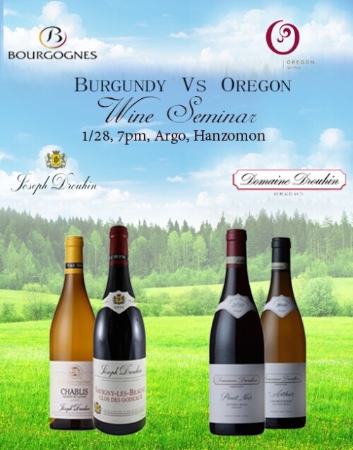 Burgundy Wine Vs Oregon Wine