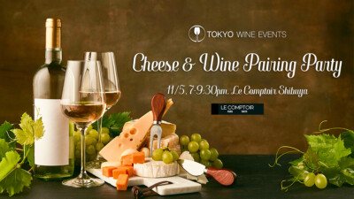 Italian Cheese and Wine Pairing Party